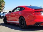 Thumbnail Photo 16 for 2017 Ford Mustang